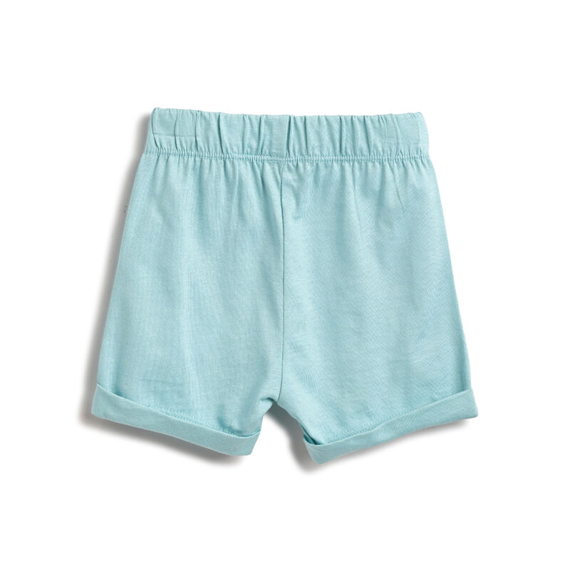 Boys Light Green T-shirt with Short Pants image number 3